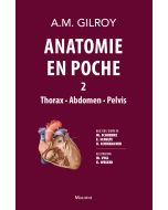 Anatomie en poche. Tome 2 : Thorax - Abdomen - Pelvis